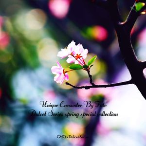 多女多p多杂交视频在线观看
