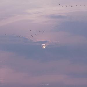 多女多p多杂交视频在线观看
